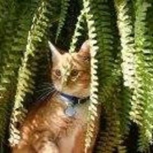 Meet your Posher, Shawna